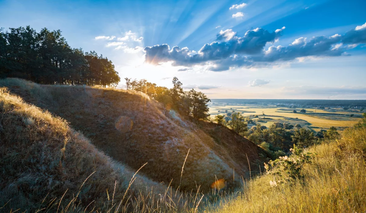 6 Aussagen zum Kauf von Solarmodulen, die niemals ausfallen sollten