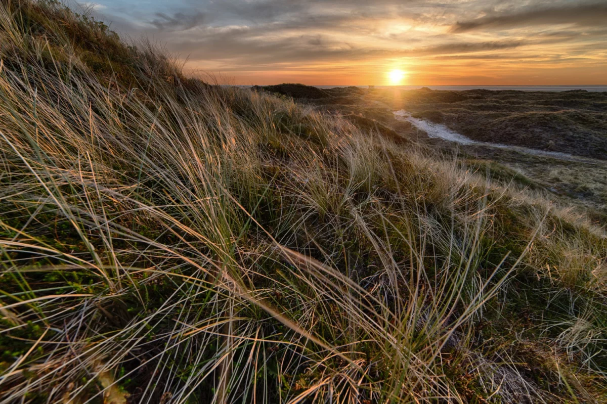 Jak pojechać na wakacje i się nie nudzić?