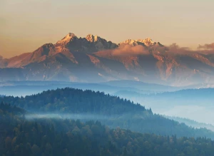 To może Cię zainteresować. Jak reklamować się profesjonalnie