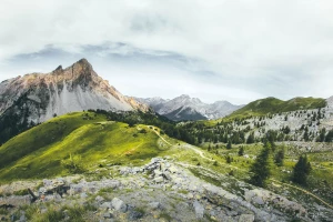 Czy w 2024 warto poświęcić czas aby  Portal medyczny